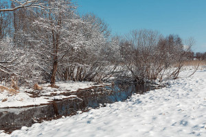Чкаловский район, Пурех