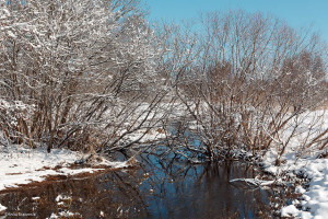 Чкаловск, Нижегородская область