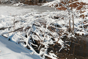 Чкаловск, Нижегородская область