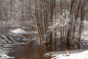Чкаловск, Нижегородская область