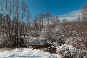 Чкаловск, Нижегородская область