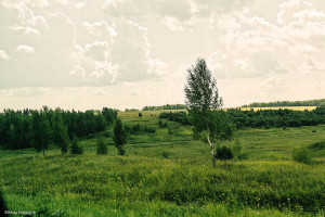 Лысково, Нижегородская область
