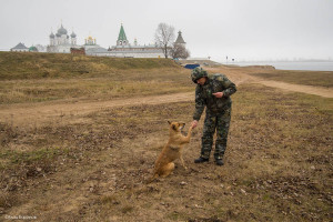 Бортовой журнал. Россия.